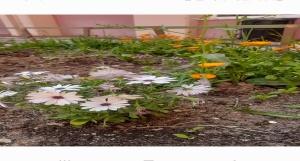 03-06-2025