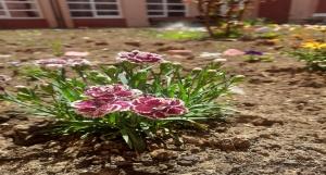 03-06-2025